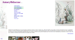 Desktop Screenshot of amaryllidaceae.org